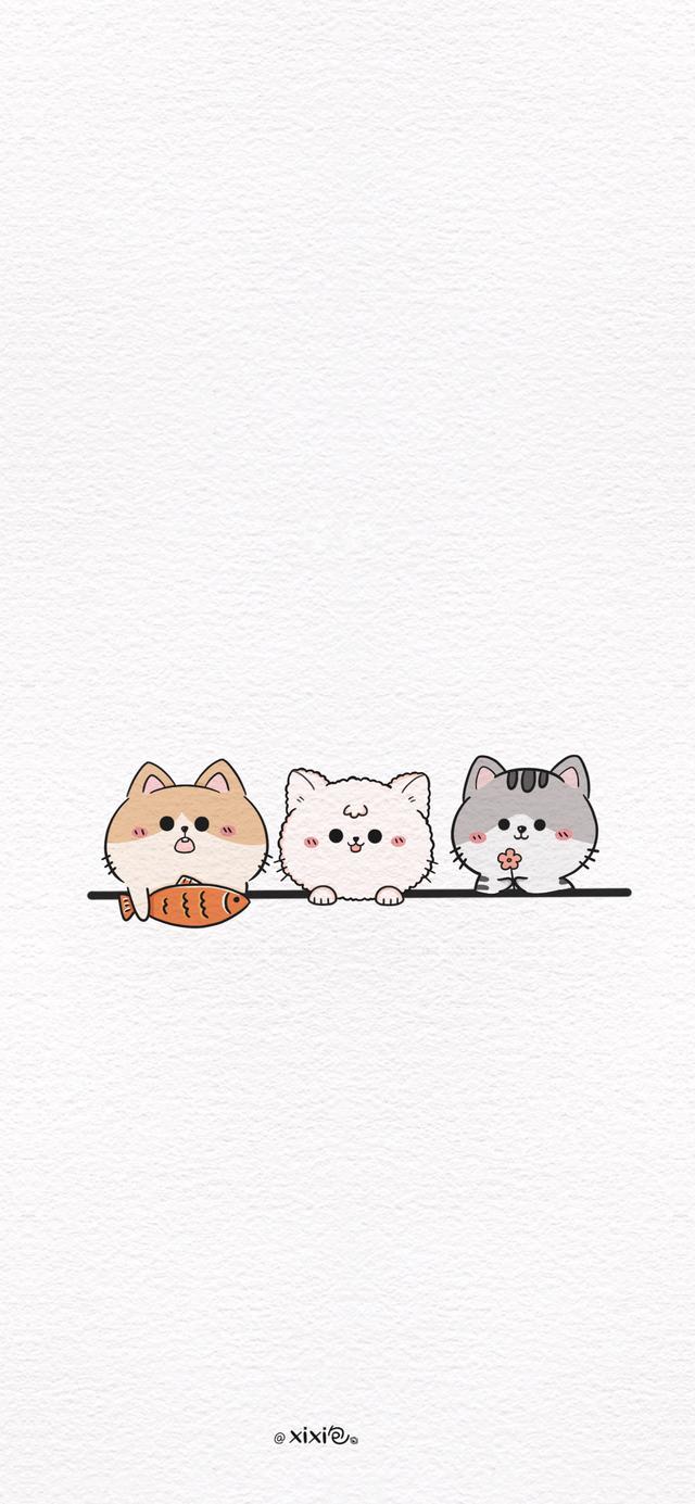 猫咪手机壁纸，微信头像，猫咪手机壁纸（简单又可爱的小猫咪壁纸）