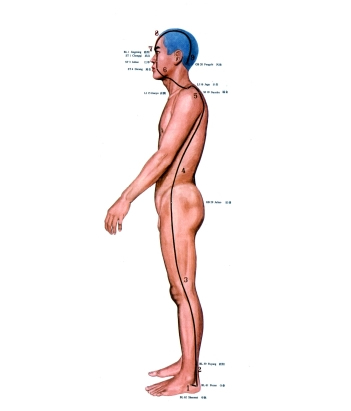 一套完整的吐纳法口诀，正宗吐纳功法（<五>奇经八脉吐纳功法）