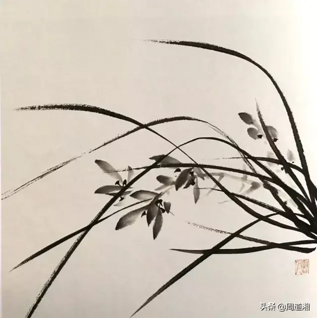 草的简笔画怎么画，猪笼草的简笔画怎么画（兰草的画法）