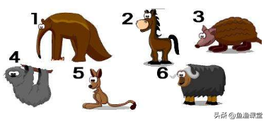 铁面无私的动物猜一生肖，铁面无私是什么生肖（鱼渔课堂带来25道文学素养趣味题）