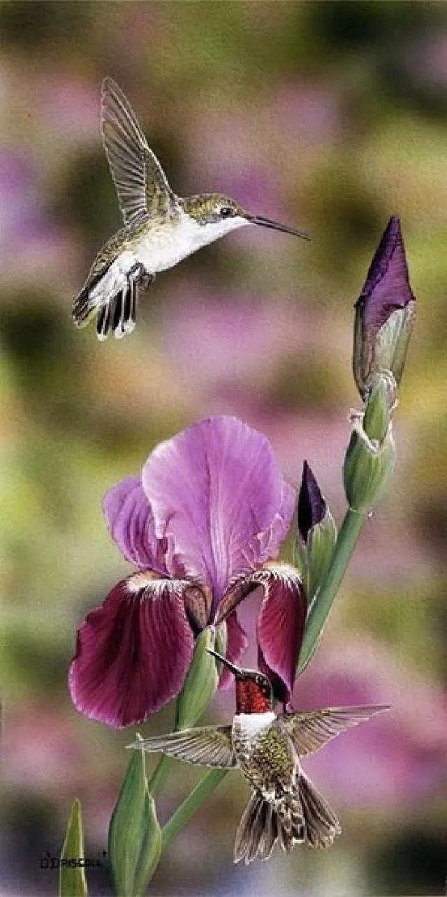 微信收款语音提示，微信收款到账语音提示音怎样开启（微信收款语音提示也很重要）