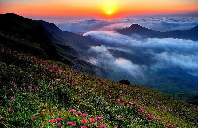 重庆海拔多少米，重庆主城海拔最高点（四川、云南、重庆、贵州、陕西五省市海拔最高点和最低点谁最强）