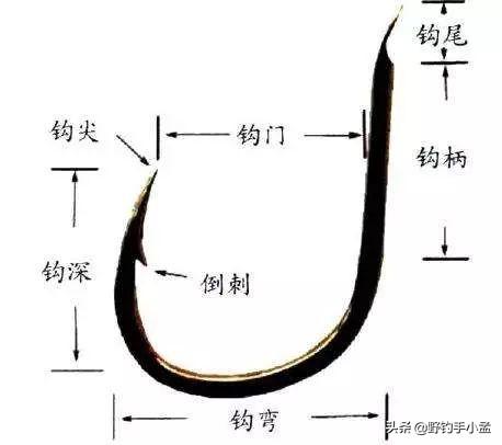 野钓无刺鲫鱼，了解有刺和无刺后再做选择
