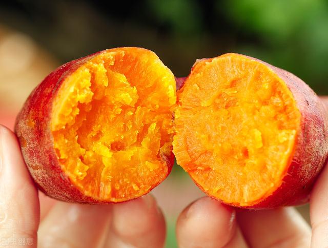 白薯蒸多久能熟透，白薯蒸多长时间能熟（掌握3个技巧）