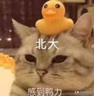 五年级上册有女鬼，五年级最恐怖的课文是什么（有哪些全国统一的校园恐怖传说）