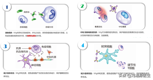 静丙离开储存温度能存活多久，静丙能维持多久（—静脉用丙种球蛋白）