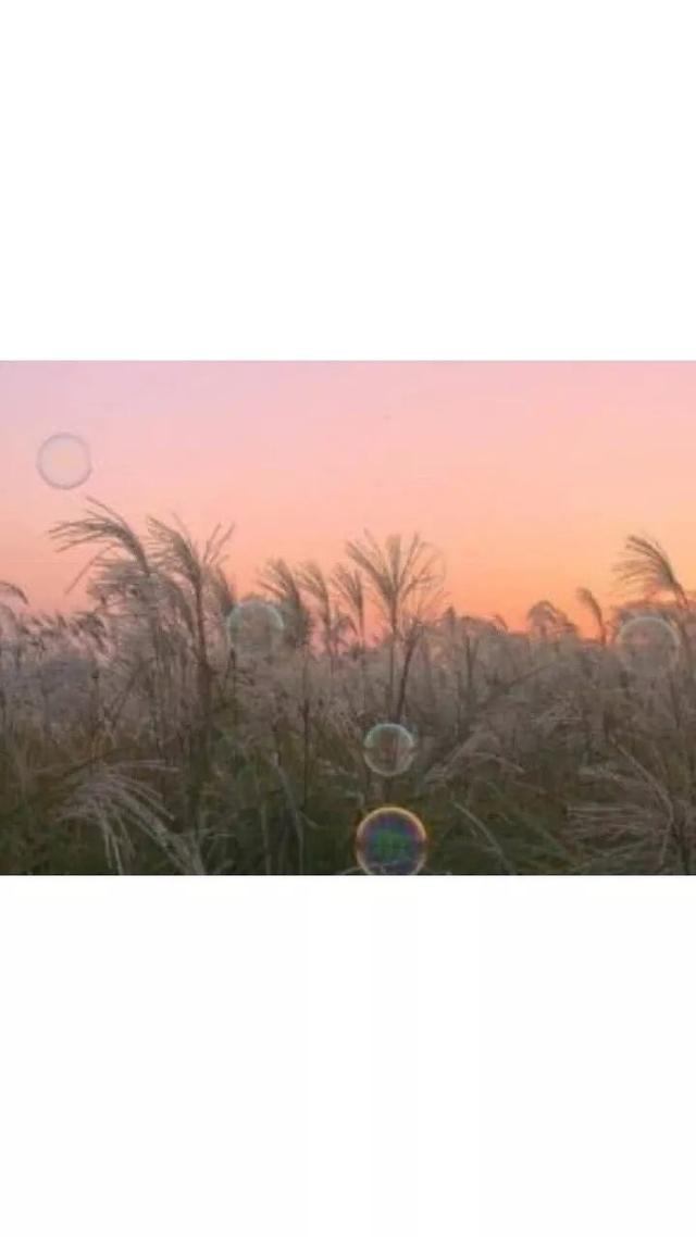 动漫帅哥美女图片，帅哥美女杂图（图王鲨鱼哥第33期33套微信头像加背景图）