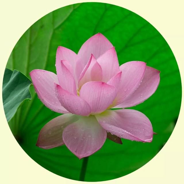 风景照片图片大全，微信头像，风景照片图片大全（令人心旷神怡的美景）