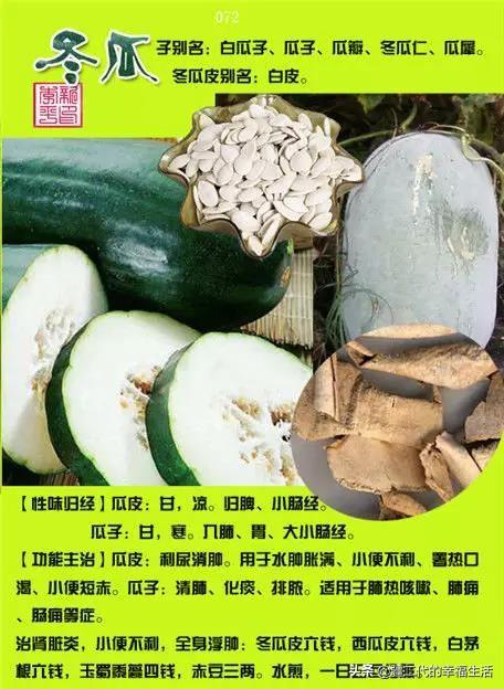 常见中草药图谱，中草药经典图谱（让你知道常用药都长啥样）