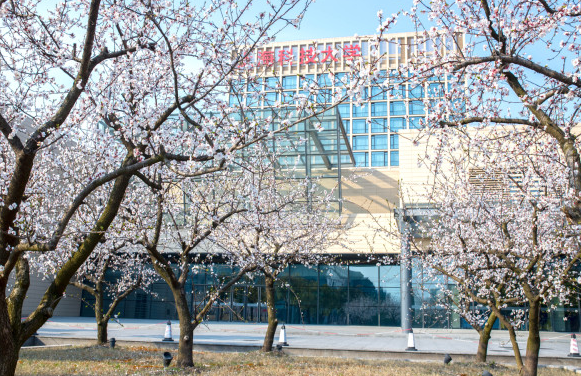 南科大学（上海科技大学PK南方科技大学）