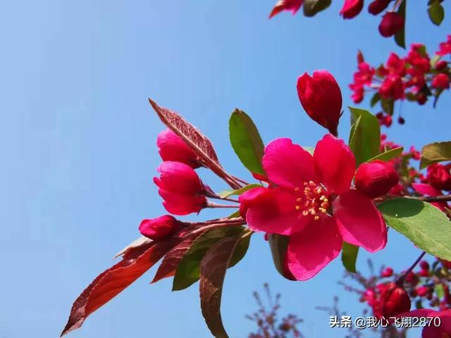 高二的家长寄语简单又朴实，高二学生家长寄语（衡中高二成年礼家长寄语）