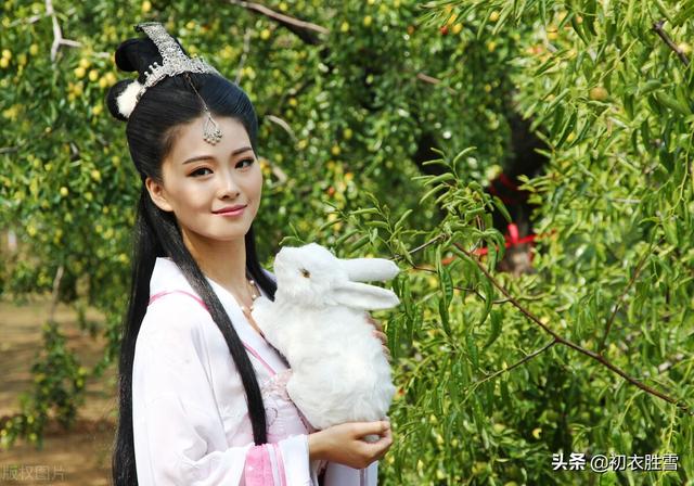 中秋节是纪念谁的，清明节是纪念谁的（人们才频繁提起嫦娥）