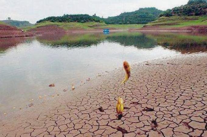 黄骨鱼的神奇功效揭秘：治服多种病症，养生食疗新选择，健康美味两不误