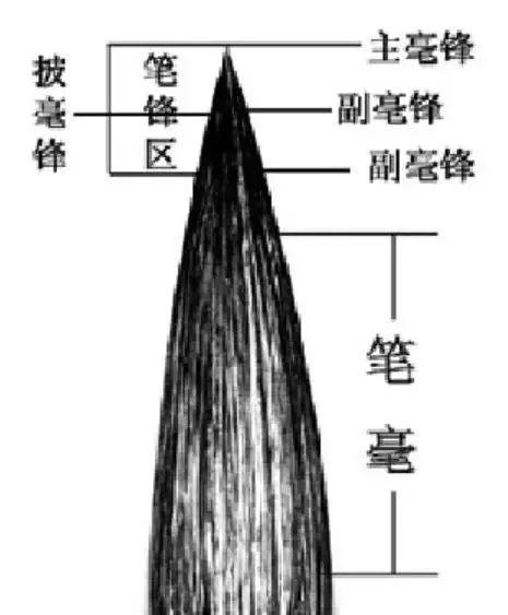 初学者怎样练毛笔字 教你写出好看的书法，初学者怎样练毛笔字（初练毛笔字，究竟如何开始写）