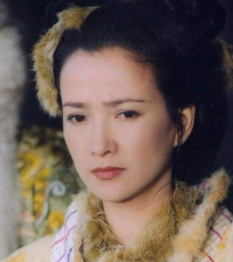 何晴演过的电视剧，何晴经典角色（“古典美人之最”何晴的14部剧）