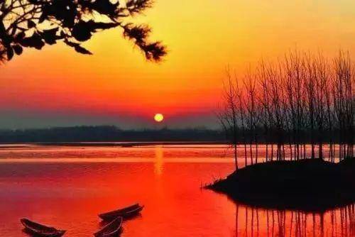 咏素蝶诗原文、翻译注释及赏析，咏素蝶诗的含义和表现手法（史上最早的楹联出自南京）