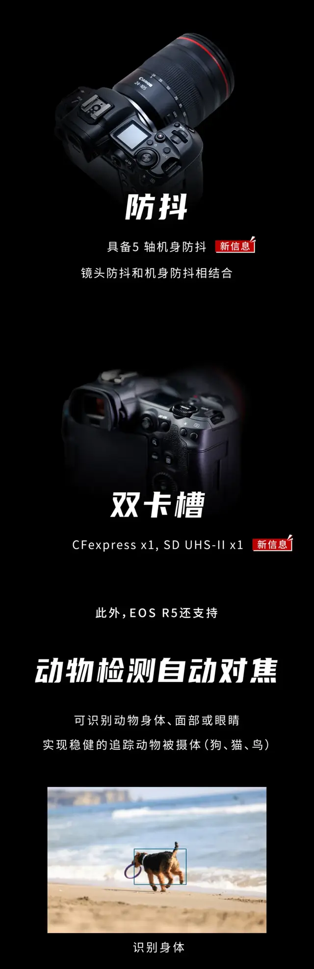 佳能c300，佳能C100和C300有什么区别?（R5和C300）