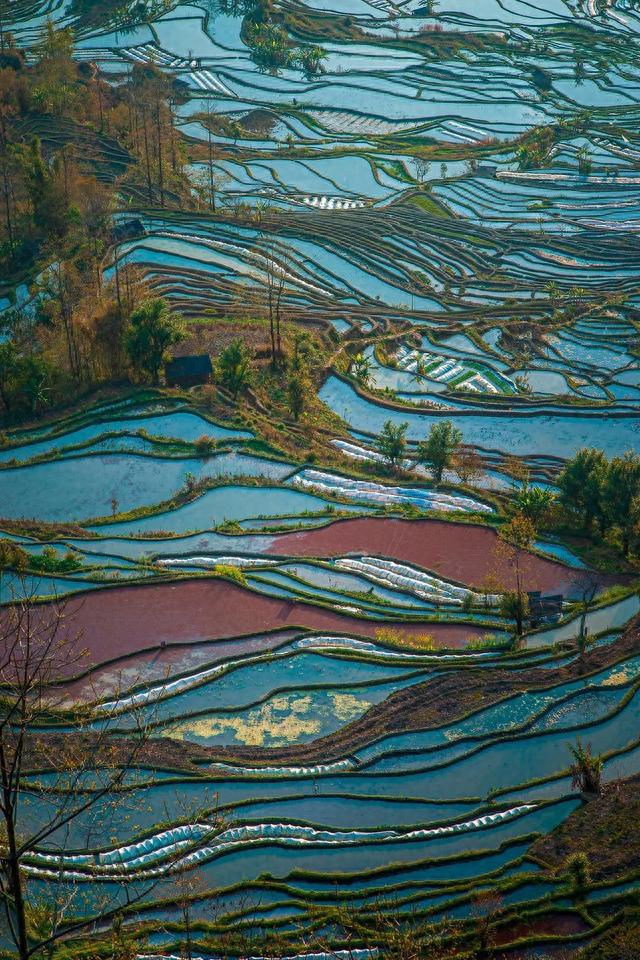 云南蒙自草坝景点，昆明旁这座云南最慢小城