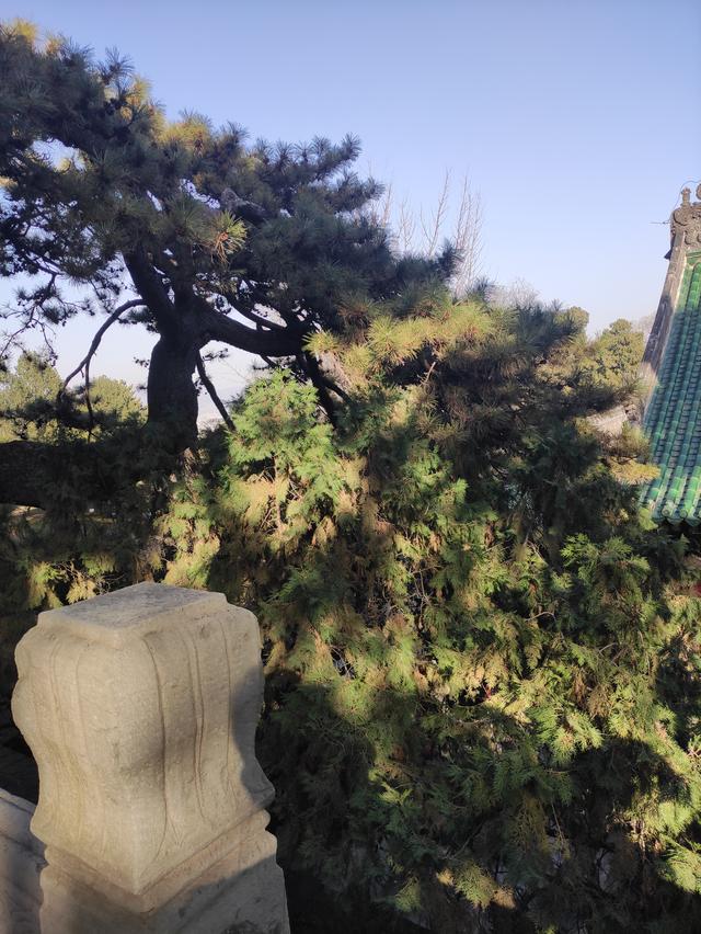 戒台寺与潭柘寺区别，戒台寺与潭柘寺区别是什么（戒台寺一日游）