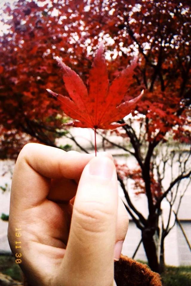 韶关云门寺，韶关云门寺图片（韶关这座色彩斑斓的古寺现在去正好）