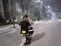 万水千山总是情下一句，万水千山总是情下一句是什么（万水千山总是情）