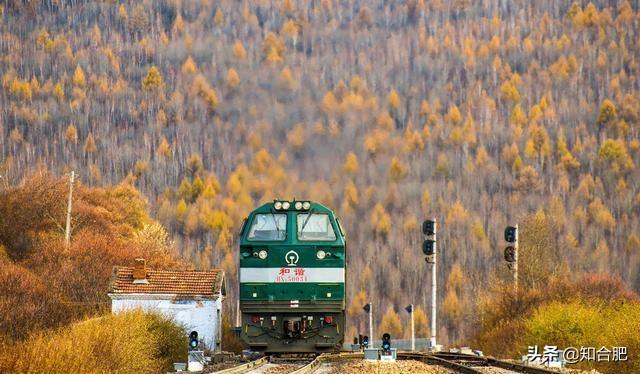 东北三宝人参鹿茸和啥，东北三宝是哪三宝（我国公认度最高的“东北三宝”）