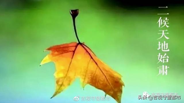 肃杀的意思是什么，肃杀是什么意思（今日处暑——寒来“暑”往）