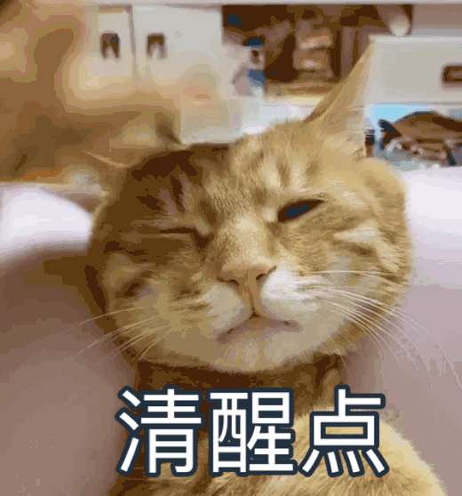 foreign是什么意思，原来这些当红明星都是外国语学院毕业的