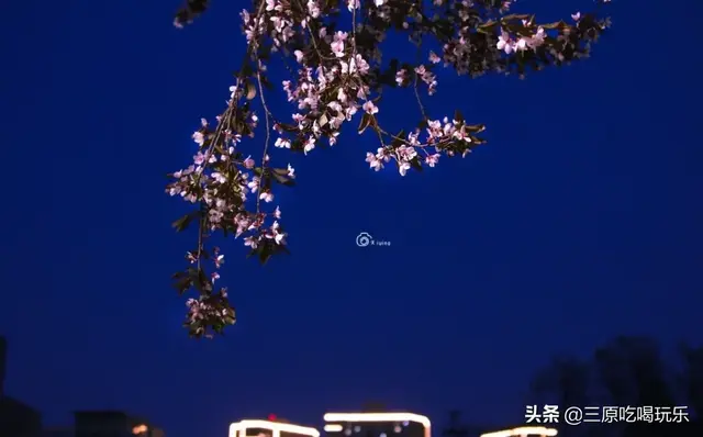 三原县南郊中学，陕西三原县有哪些高中（一半都藏在了南郊中学和北城中学）