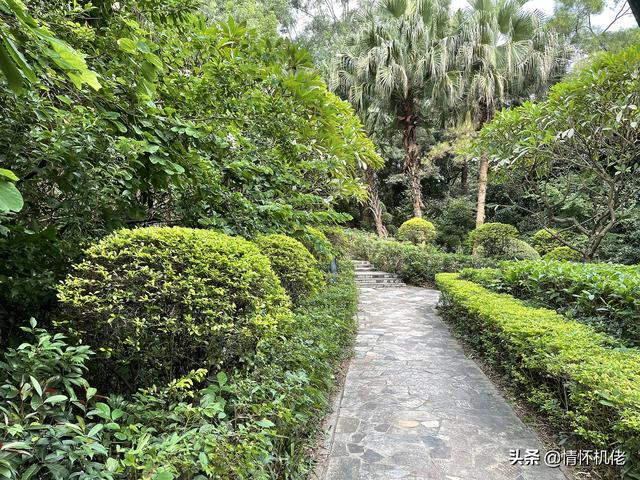 诺基亚n95手机好吗，回顾诺基亚N95