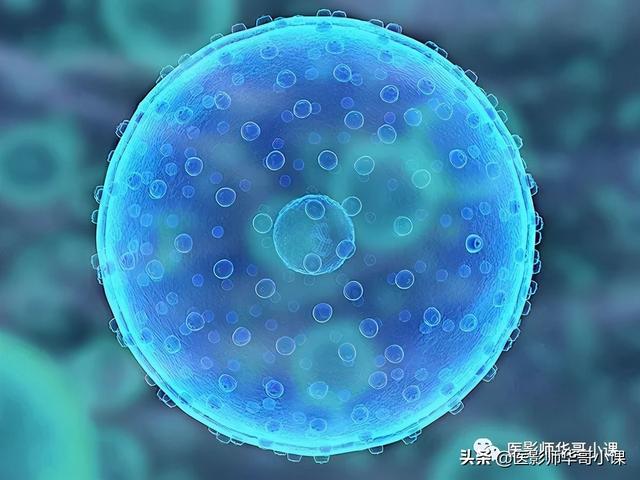 人体解剖学基础，人体解剖学基础知识学什么（基础知识之人体解剖学基础）