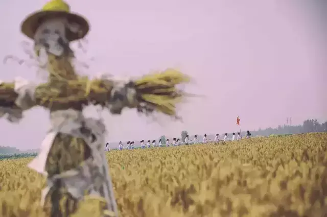 杀人回忆凶手是谁，《杀人回忆》凶手是谁（《杀人回忆》的凶手终于被找到了）