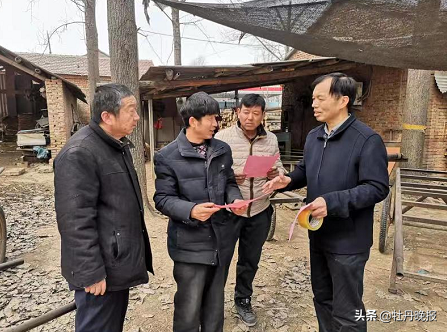 草鞋虫最怕什么，草鞋虫最怕什么药（“树虱子”被称“毁灭性害虫”）