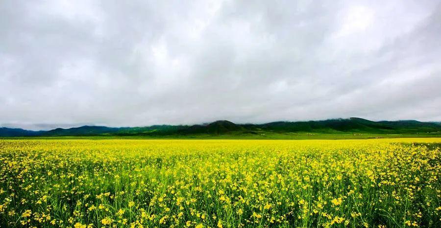 青海旅游攻略必去景点大全（必游的12大景点，少去一个都可惜）