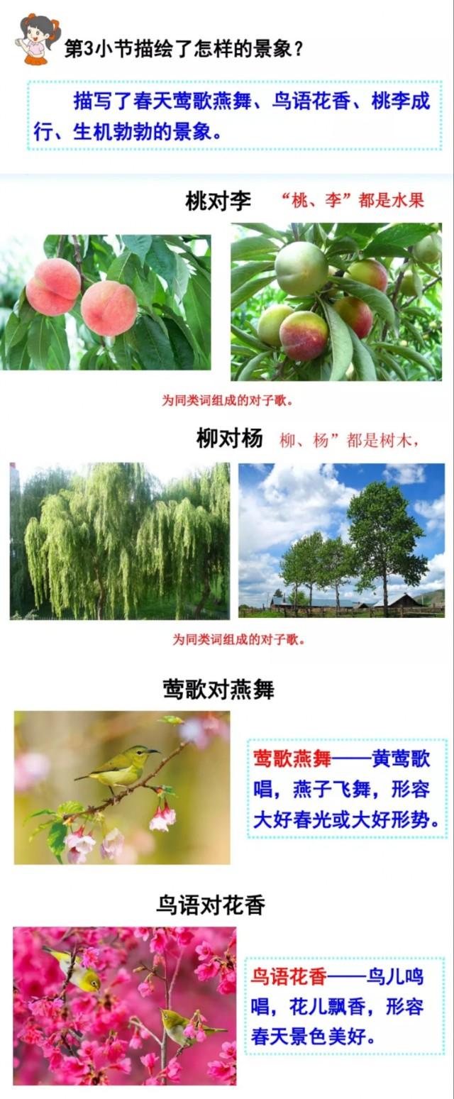 提怎么组词(行组词不是这个行)
