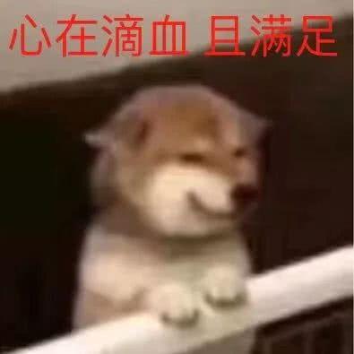 孔刘表情包！！！太帅了，微信头像，孔刘表情包！！！太帅了（我们从你的微信头像）