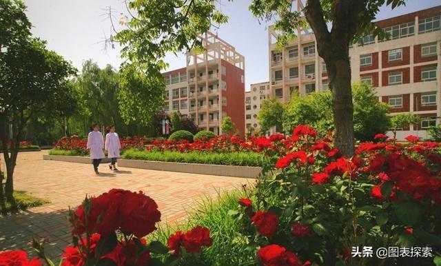 漯河有几所大学，河南漯河有几个大学（全国高职第19的漯河医专冲刺漯河医学院）