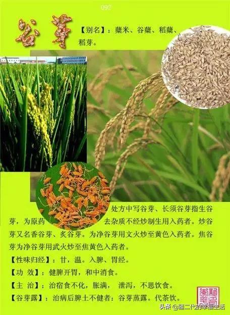 常见中草药图谱，中草药经典图谱（让你知道常用药都长啥样）