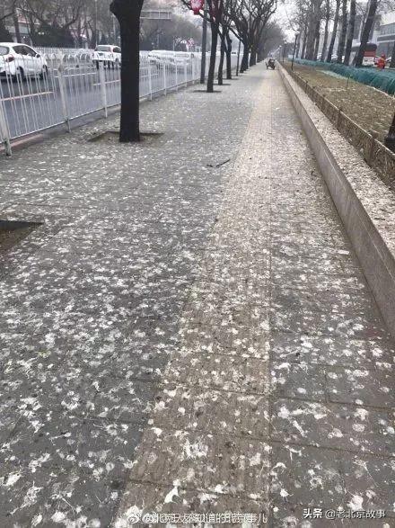 北京公主坟的来历，公主坟的来历（北京人的公主坟回忆）