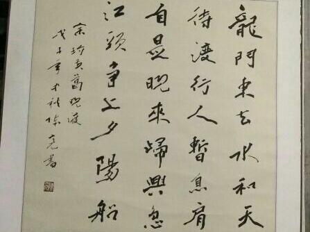 黄葛树和黄桷树的区别，黄葛树（黄葛树图片）