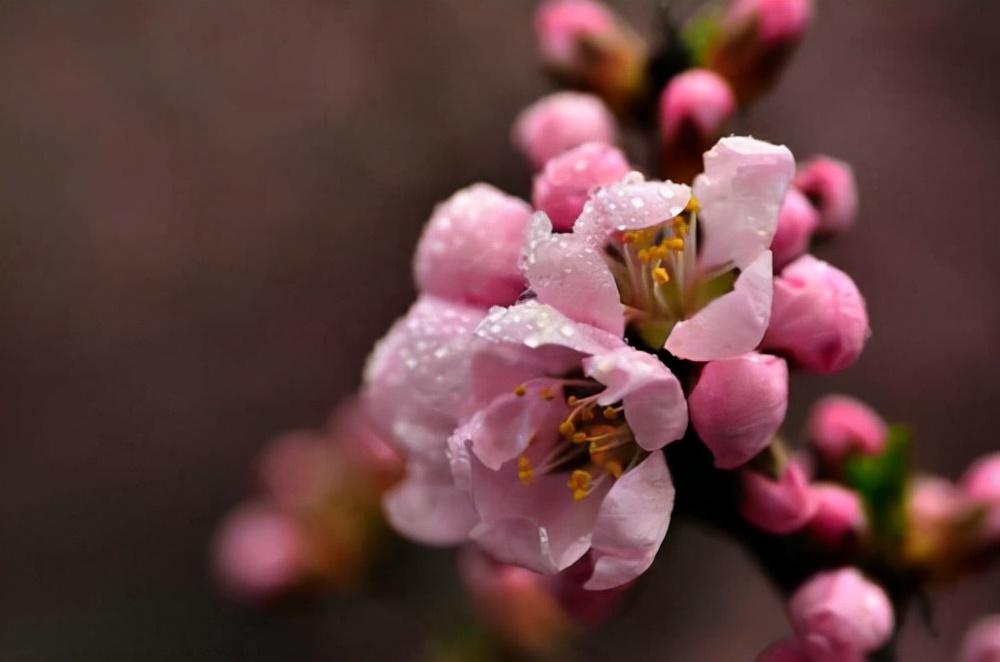男人和你诉苦证明什么（男人从不过问你三件事）