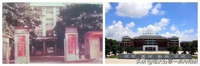 如何区分农眼树和荔枝树，龙眼树和荔枝树的区别（10个茂名冷知识）