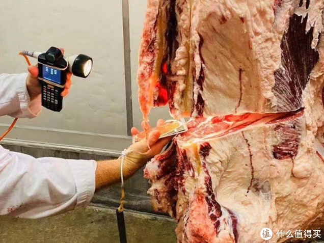 美国牛排 等级，买牛肉不要再上当了好吗