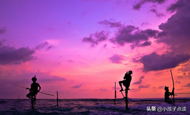 懵懂的近义词，冲撞的例句有哪些