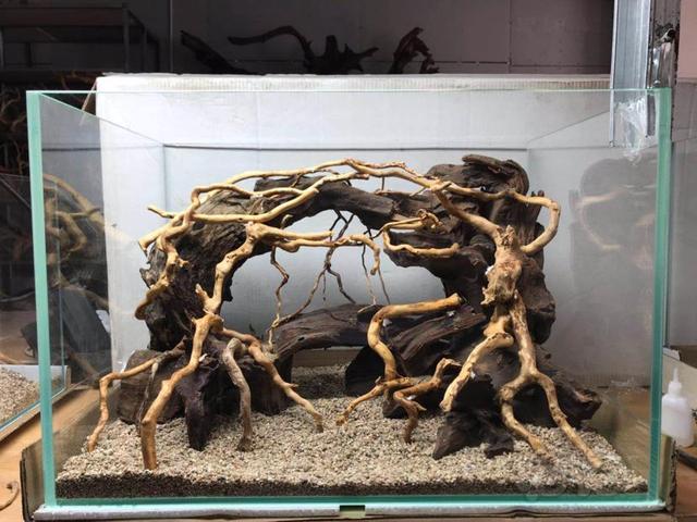 鱼缸底部铺什么好，鱼缸底部铺卵石养什么鱼（如何挑选一个合适自己的鱼缸）