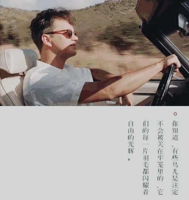 好看的外国电影推荐，美国十大电影必看排行榜（我最喜欢的十部外国电影）