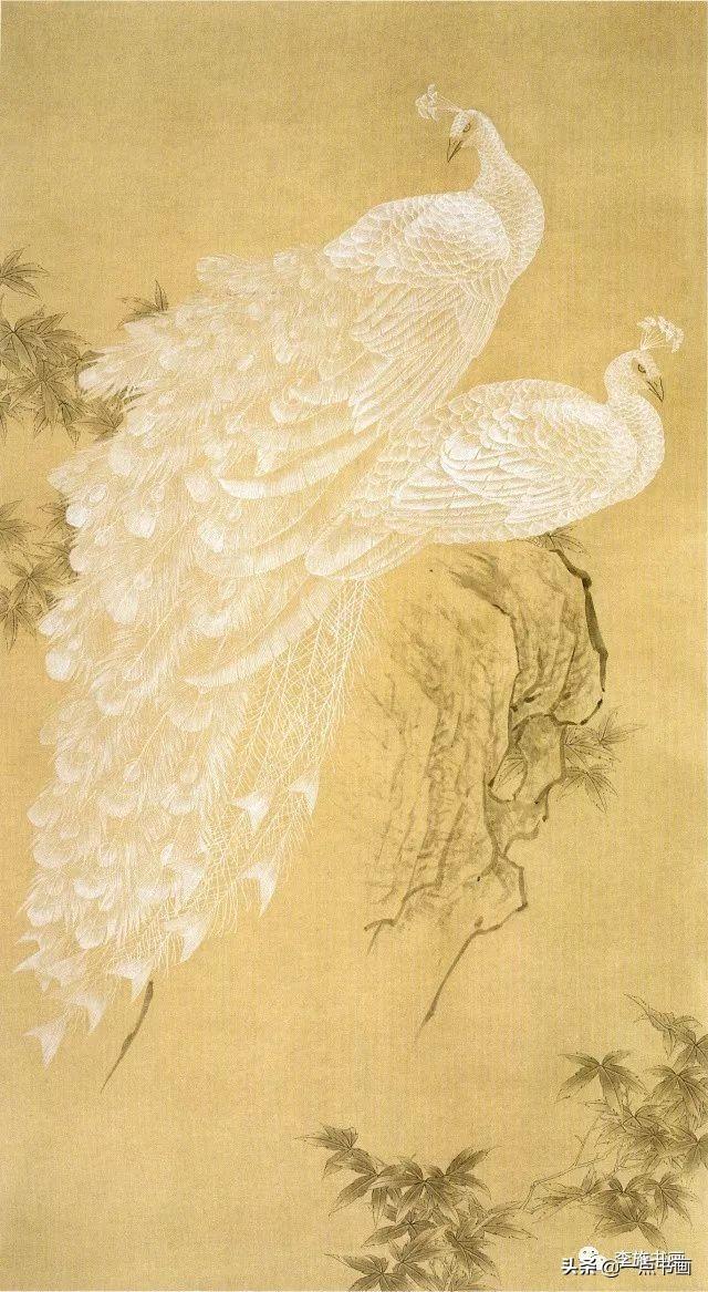 画孔雀的简笔画，如何画孔雀简笔画（国画教程——孔雀画法）