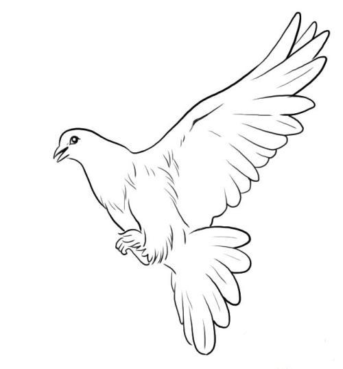 动物简笔画大全之考拉画法，考拉简笔画大全大图（有难得一见的刺猬、企鹅、考拉）