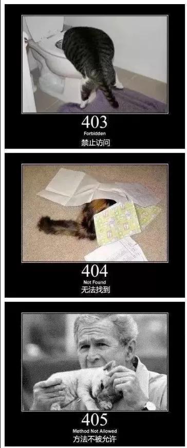 404，404、405这些错误指令你知道是什么意思吗