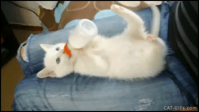 硅胶奶瓶好还是ppsu材质的好，硅胶和ppsu材质奶瓶哪个好（帮你找到最合心的奶瓶）